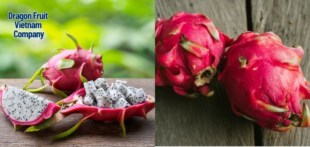 Dragon Fruit Vietnam Company