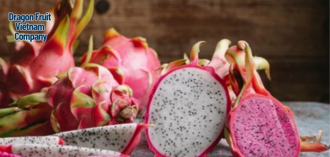 Dragon Fruit Vietnam Company