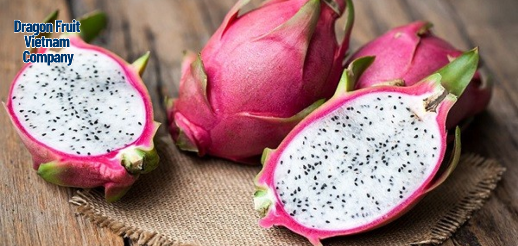 Dragon Fruit Vietnam Company
